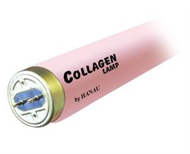 OH C Collagen 180R